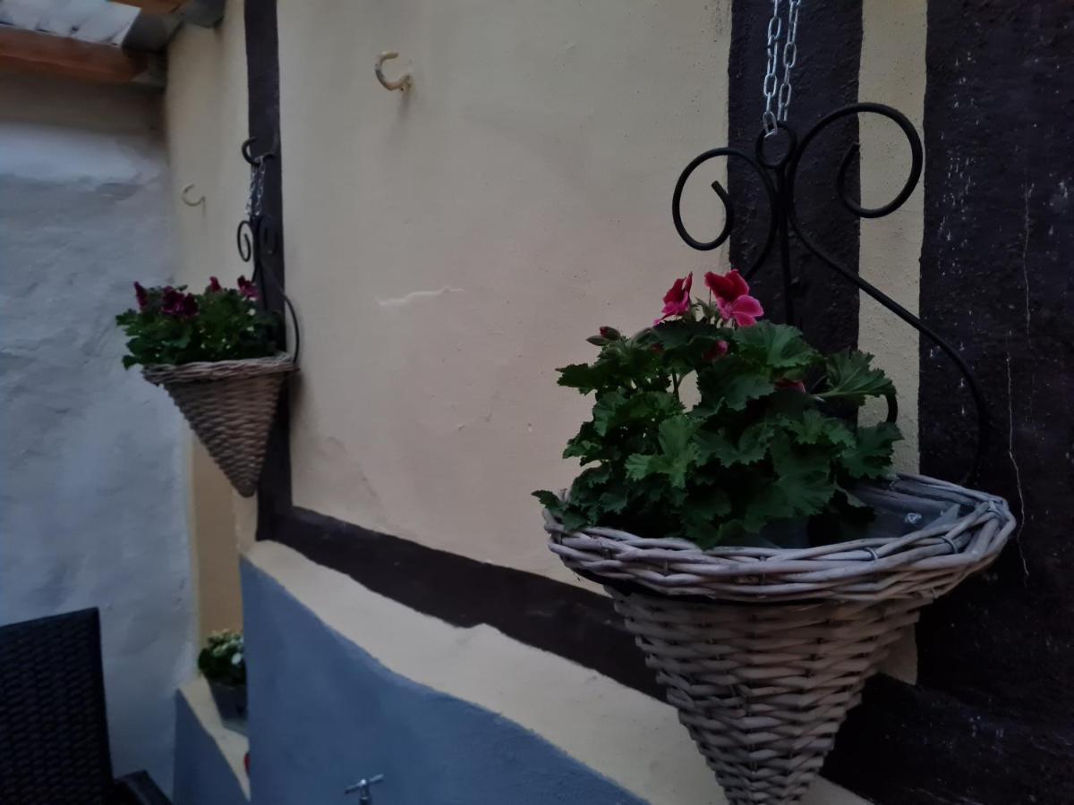 Ferienhaus Schatzliebe Quedlinburg Zewnętrze zdjęcie